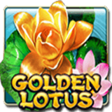 Golden Lotus