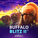 Buffalo Blitz II